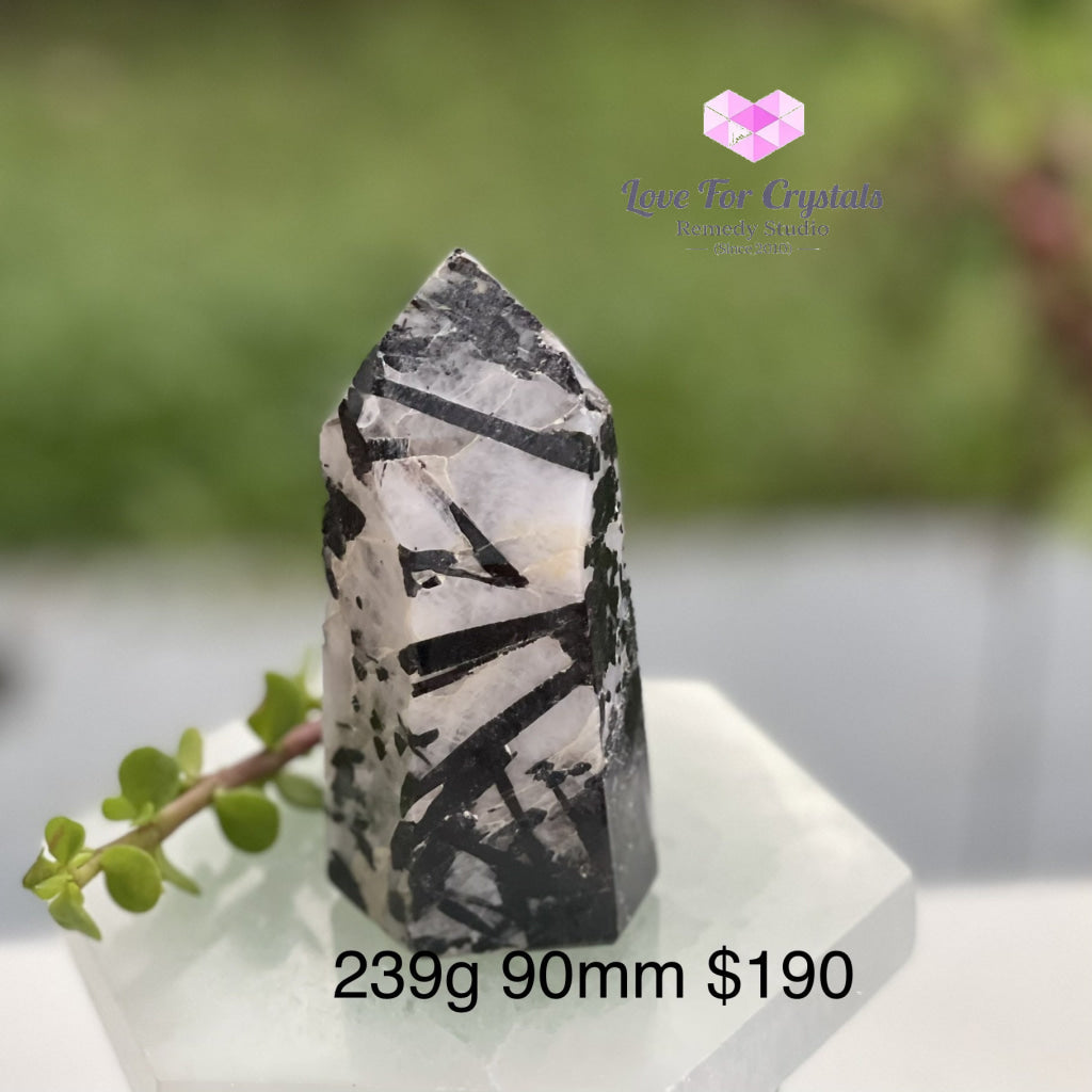 Tourmalinated (Tourmalated) Quartz Standing Point (Brazil) Tourmaline And 239G 90Mm