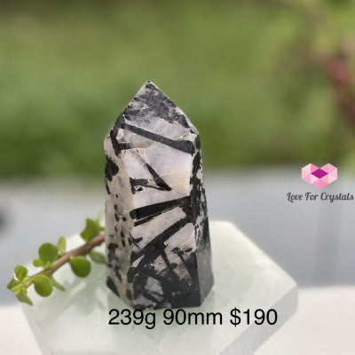 Tourmalinated (Tourmalated) Quartz Standing Point (Brazil) Tourmaline And 239G 90Mm