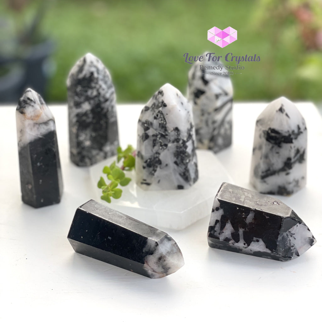 Tourmalinated (Tourmalated) Quartz Standing Point (Brazil) Tourmaline And