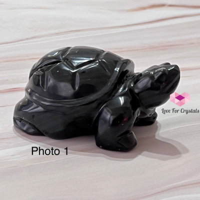 Turtle Agni Manitite Hand-Carved (Indonesia Cintamani) (Saffordite) Raw Stones