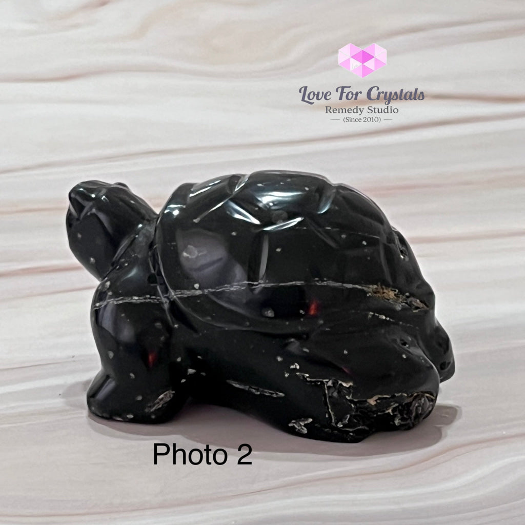 Turtle Agni Manitite Hand-Carved (Indonesia Cintamani) (Saffordite) Raw Stones