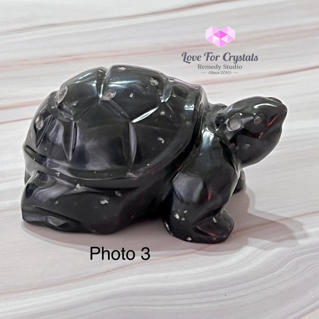 Turtle Agni Manitite Hand-Carved (Indonesia Cintamani) (Saffordite) Raw Stones