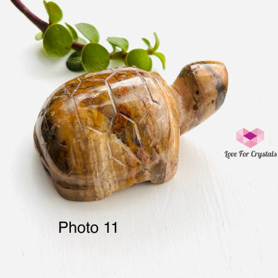 Turtles Hand Carved Photo 11 (Crazy Lace Agate)