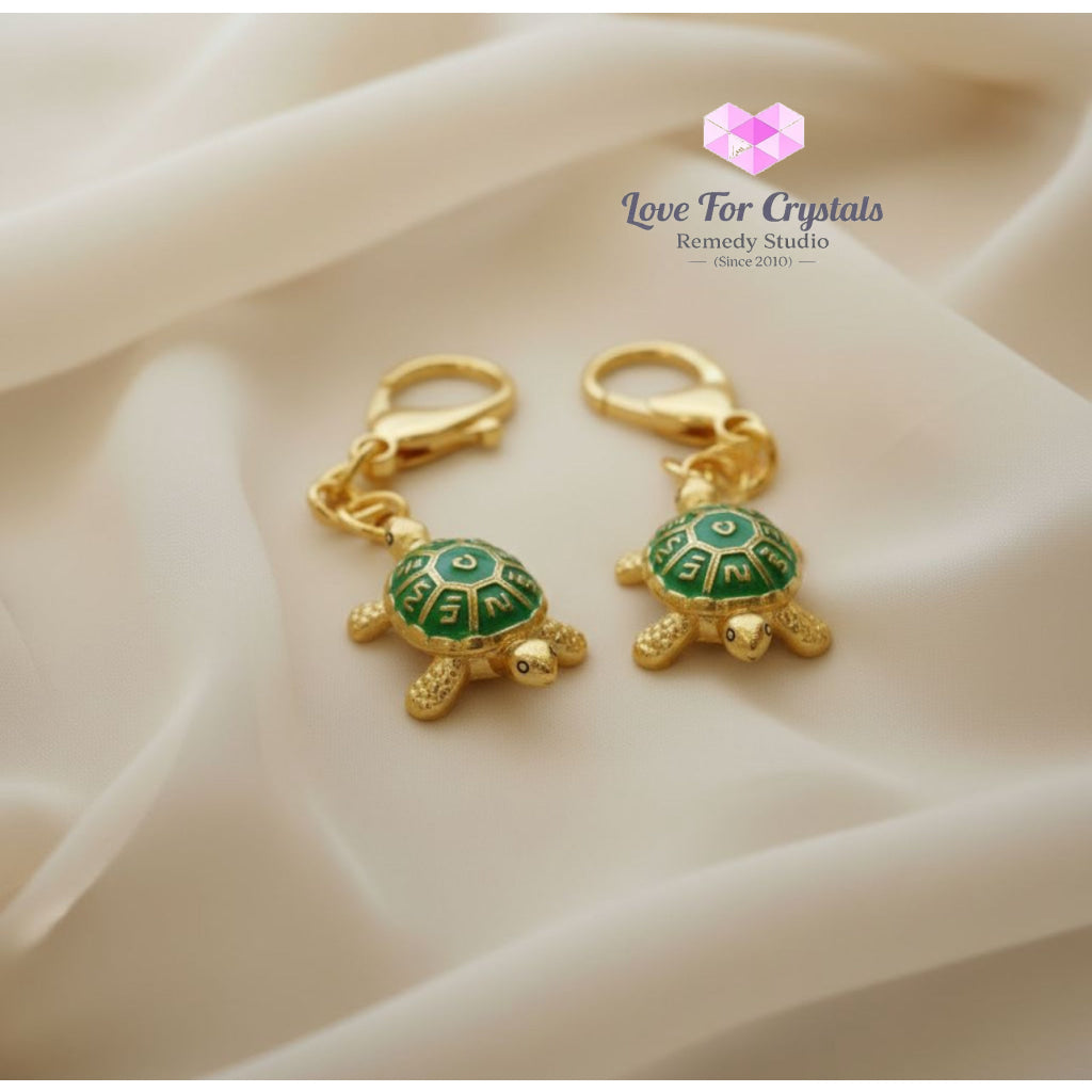 Water Tortoise Amulet Keychain (Feng Shui 2026) 40mm Feng shui 2026