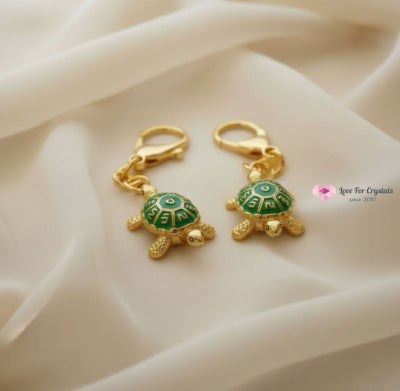 Water Tortoise Amulet Keychain (Feng Shui 2026) 40mm Feng shui 2026