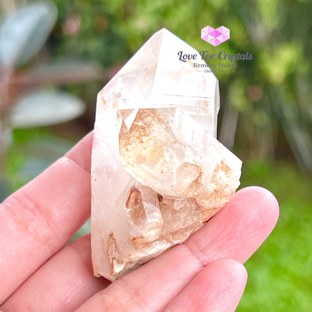 White Phantom Cluster Matrix With Chlorite Inclusion (South Africa) Collectors 60X35Mm Raw Crystals