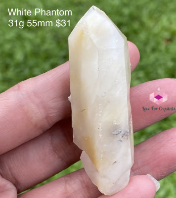 White Phantom Quartz Point (Brazil) Super Rare 31G 55Mm