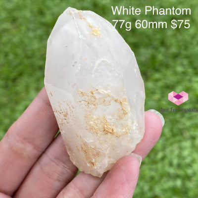 White Phantom Quartz Point (Brazil) Super Rare 77G 60Mm