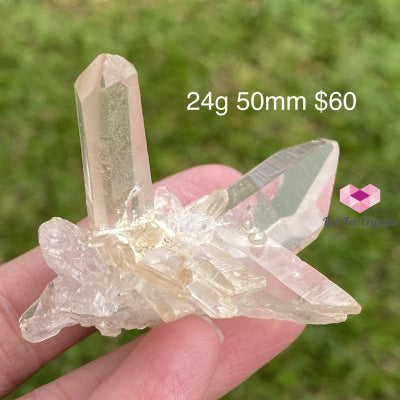 Zeca De Souza Mine Quartz Cluster (Rare) Brazil Caves Geodes And Clusters