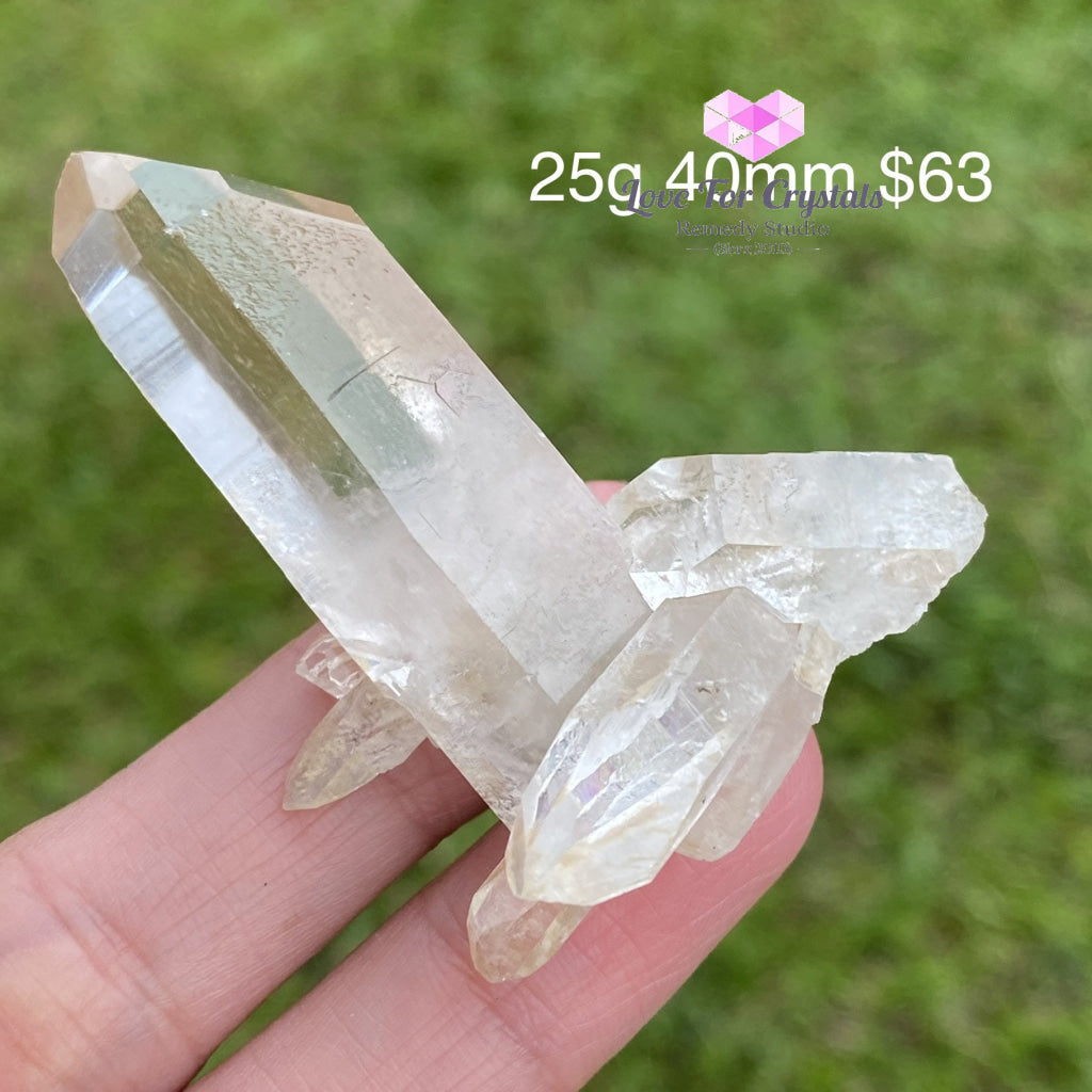 Zeca De Souza Mine Quartz Cluster (Rare) Brazil Caves Geodes And Clusters