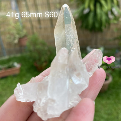 Zeca De Souza Mine Quartz Cluster (Rare) Brazil 41G 65Mm Caves Geodes And Clusters