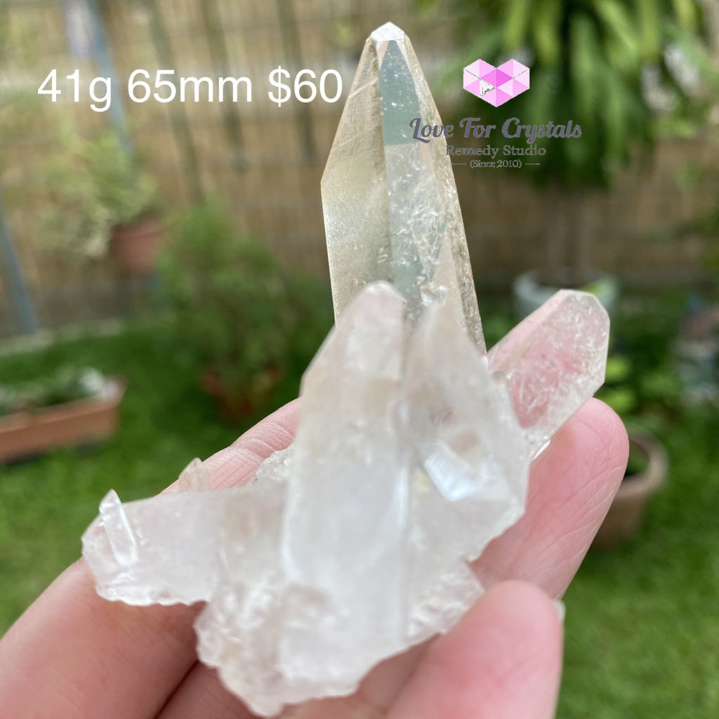 Zeca De Souza Mine Quartz Cluster (Rare) Brazil 41G 65Mm Caves Geodes And Clusters