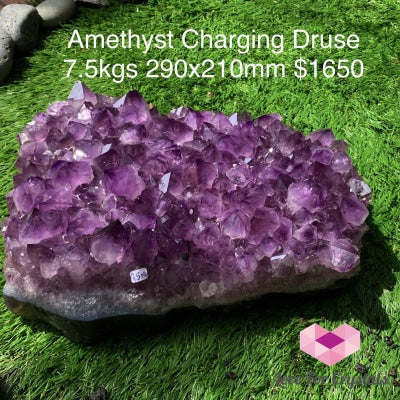 Amethyst Charging Druse (Brazil) 7.5Kgs Aaa Caves Geodes And Clusters