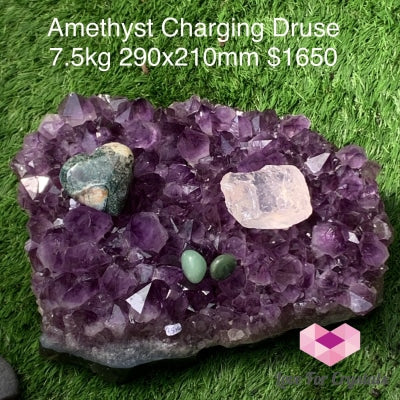 Amethyst Charging Druse (Brazil) 7.5Kgs Aaa Caves Geodes And Clusters