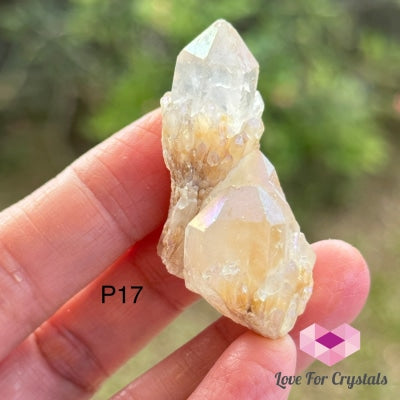 Angel Aura Abundance Quartz (Mini) Photo 17 Polished Crystals
