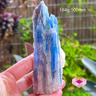 Blue Kyanite Raw (Brazil) 164G 100Mm Stones