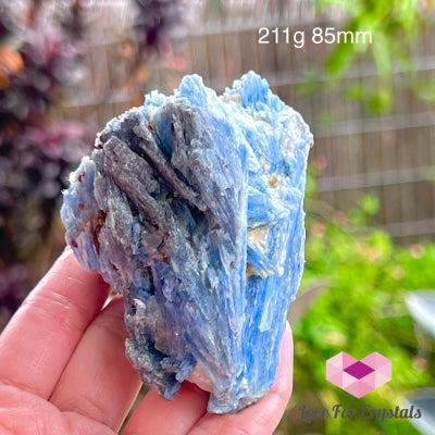 Blue Kyanite Raw (Brazil) 211G 85Mm Stones