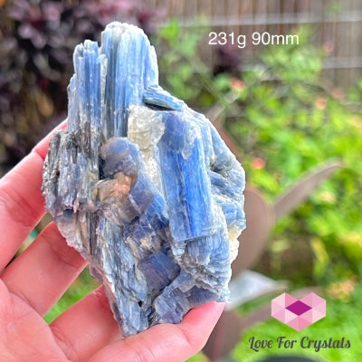 Blue Kyanite Raw (Brazil) 231G 90Mm Stones