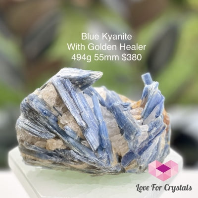 Blue Kyanite With Golden Healer (Brazil) Rare! 494G Raw