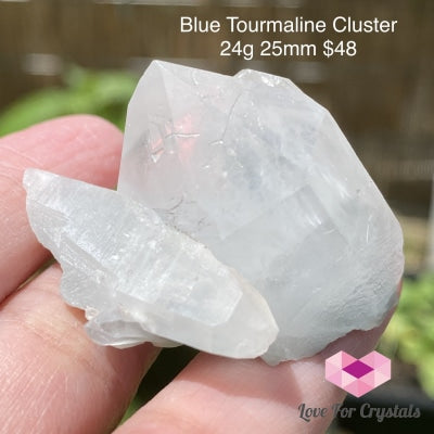 Blue Tourmaline Cluster (Indicolite) Brazil (Rare)