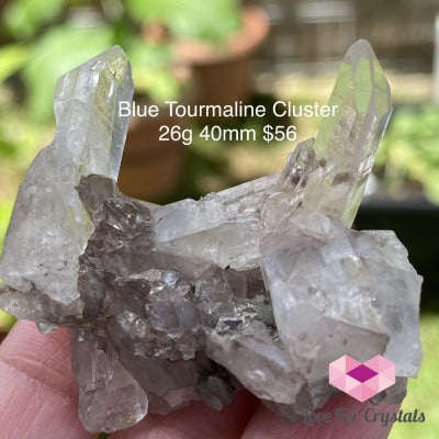 Blue Tourmaline Cluster (Indicolite) Brazil (Rare) 26G 40Mm