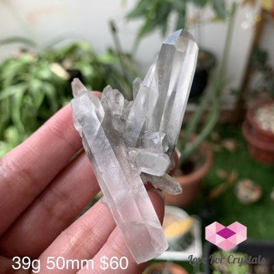 Blue Tourmaline Cluster (Indicolite) Brazil (Rare)