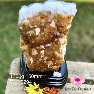 Citrine Cluster Wall With Stand (Aaa) 1700G 150Mm