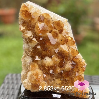 Citrine Cluster Wall With Stand (Aaa)