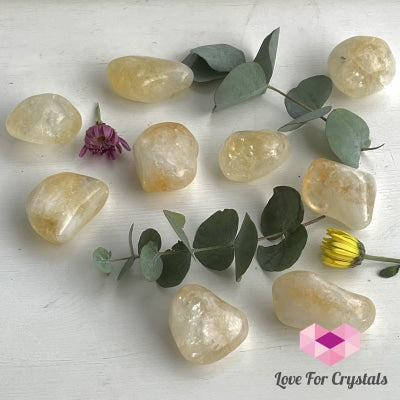 Citrine Pebble Stones (Brazil) Tumbled