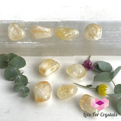 Citrine Pebble Stones (Brazil) Tumbled