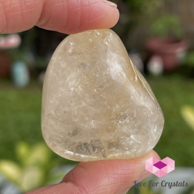 Citrine Pebble Stones (Brazil) Tumbled