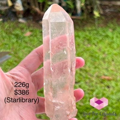 Clear Pink Lemurian Seed Crystal (Brazil) Aaaa Grade Medium To Large Pieces 226G 140Mm