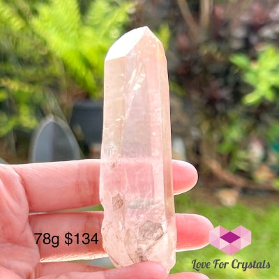 Clear Pink Lemurian Seed Crystal (Brazil) Aaaa Grade Medium To Large Pieces Raw Stones