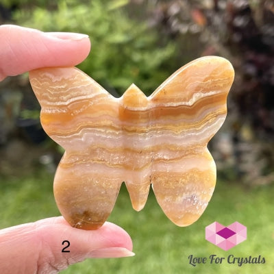 Crazy Lace Agate Carved Butterfly (Handcarved) Photo 2 Crystal