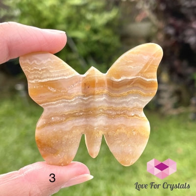 Crazy Lace Agate Carved Butterfly (Handcarved) Photo 3 Crystal