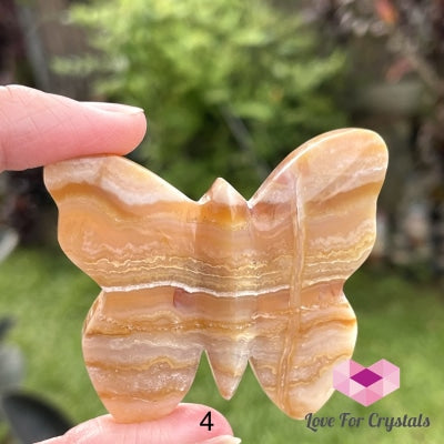 Crazy Lace Agate Carved Butterfly (Handcarved) Photo 4 Crystal