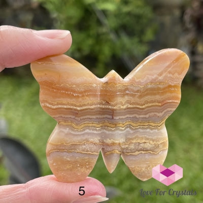 Crazy Lace Agate Carved Butterfly (Handcarved) Photo 5 Crystal