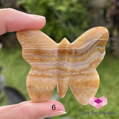 Crazy Lace Agate Carved Butterfly (Handcarved) Photo6 Crystal