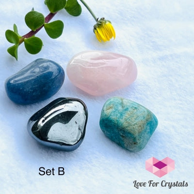 Crystal Remedy Sets For Pets (4 Stones) Set B