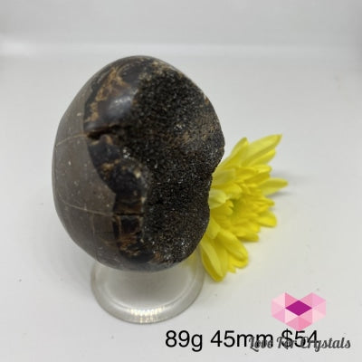 Dragon Stone Septarian Egg Geode (Madagascar) 89G 45Mm Polished Stones