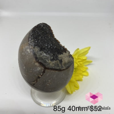 Dragon Stone Septarian Egg Geode (Madagascar) 91G 49Mm Polished Stones