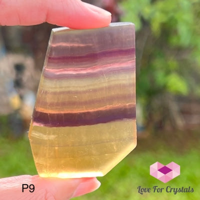 Fluorite Slices (Mexico) 35-70Mm Photo 9 Polished Crystals