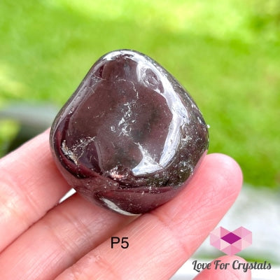 Garnet Tumbled (Brazil) Photo 5 Stones