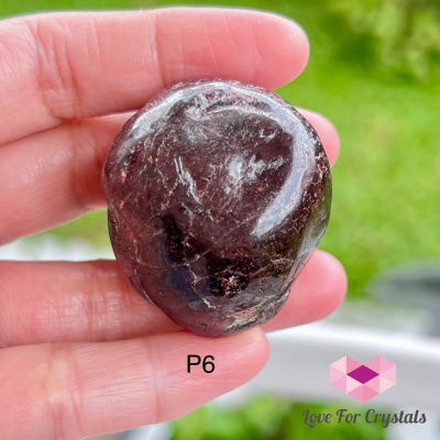 Garnet Tumbled (Brazil) Photo 6 Stones