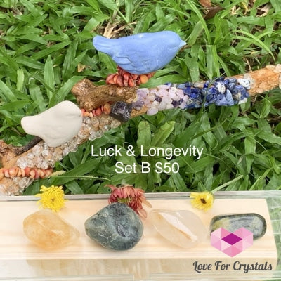 Luck And Longevity Crystal Set B (4 Stones) Sets