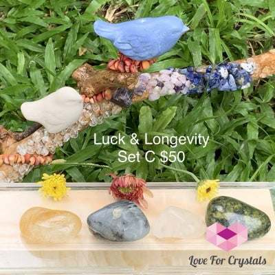 Luck And Longevity Crystal Set C (4 Stones) Sets