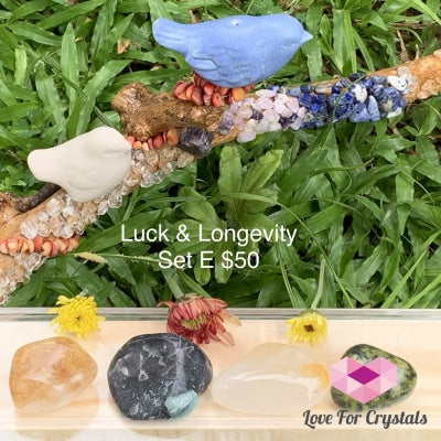 Luck And Longevity Crystal Set E (4 Stones) Sets