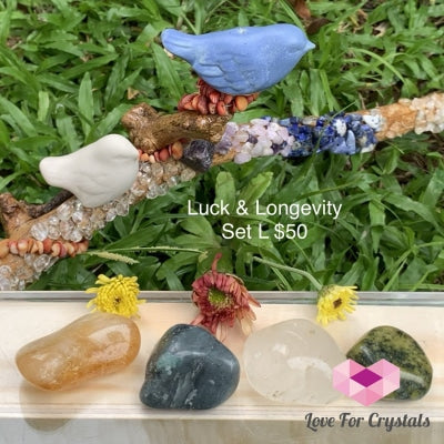 Luck And Longevity Crystal Set L (4 Stones) Sets