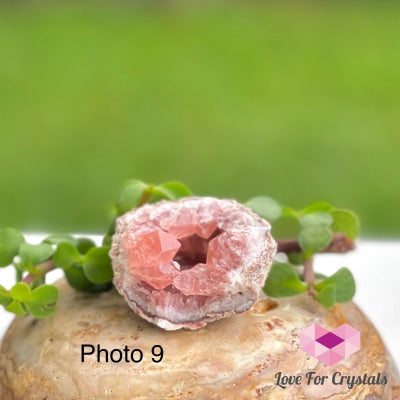 Pink Amethyst Druse Mini Geode (Argentina) Raw Crystals