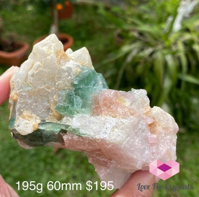 Pink And Green Tourmaline In Lepidolite Quartz Mica (Brazil) Collectors Aaa 195G 80Mm Raw Stones